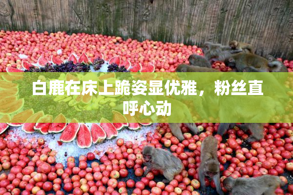 白鹿在床上跪姿显优雅，粉丝直呼心动