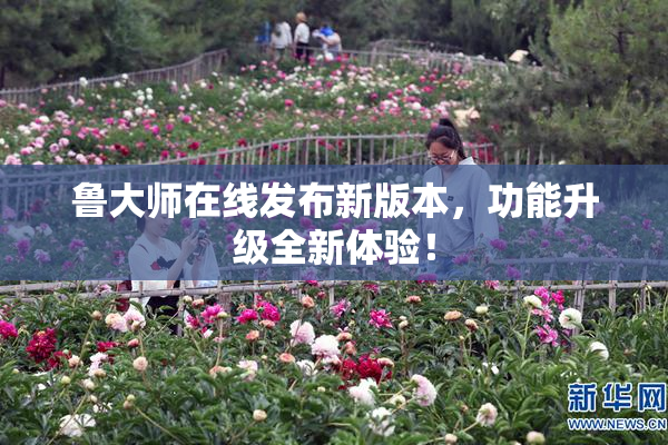 鲁大师在线发布新版本，功能升级全新体验！