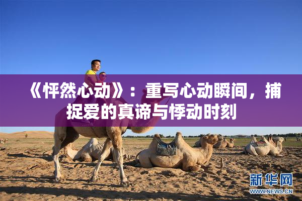 《怦然心动》：重写心动瞬间，捕捉爱的真谛与悸动时刻