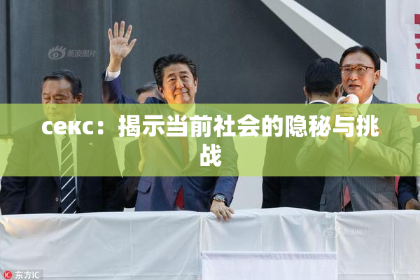 ceкс：揭示当前社会的隐秘与挑战