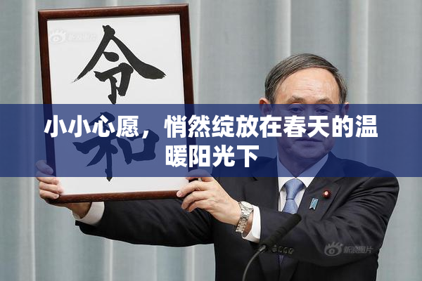 小小心愿，悄然绽放在春天的温暖阳光下