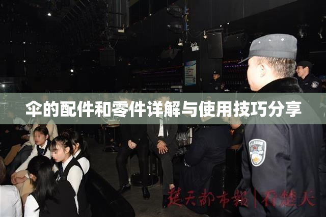 伞的配件和零件详解与使用技巧分享