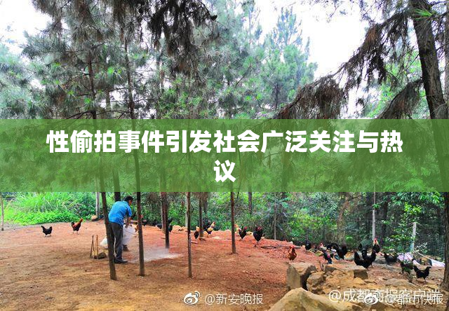 性偷拍事件引发社会广泛关注与热议