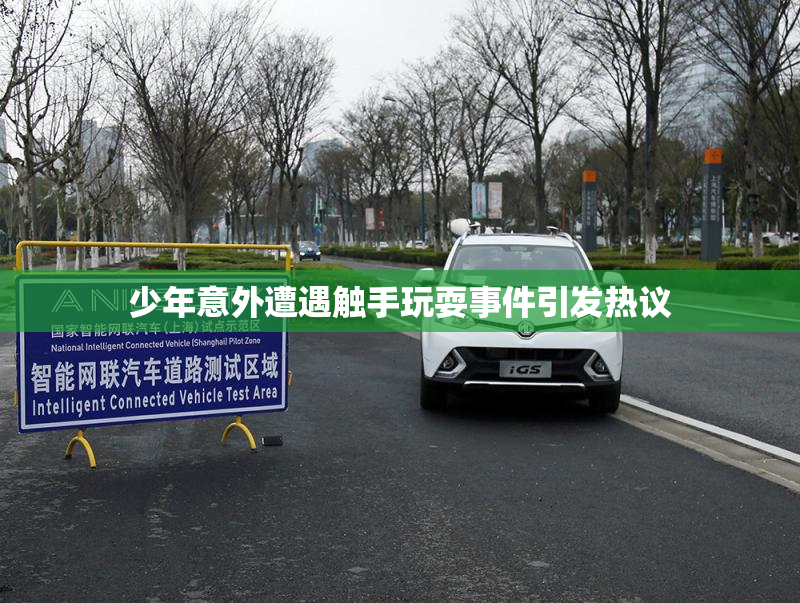 少年意外遭遇触手玩耍事件引发热议