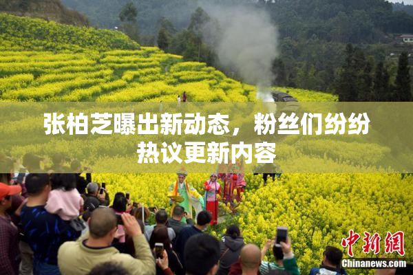 张柏芝曝出新动态，粉丝们纷纷热议更新内容