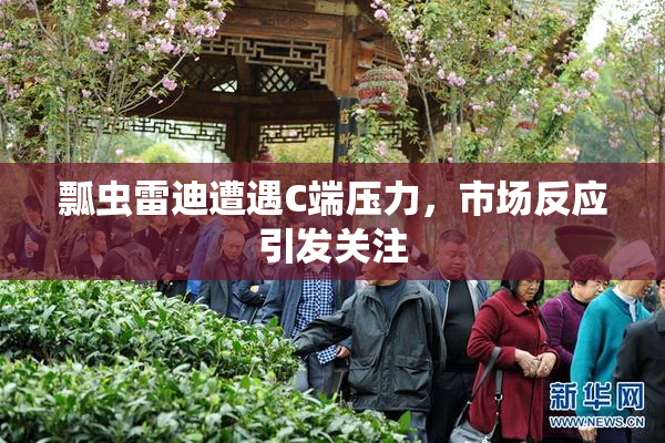 瓢虫雷迪遭遇C端压力，市场反应引发关注