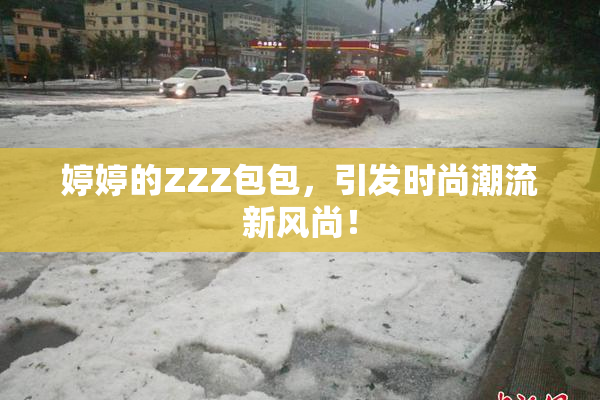 婷婷的ZZZ包包，引发时尚潮流新风尚！