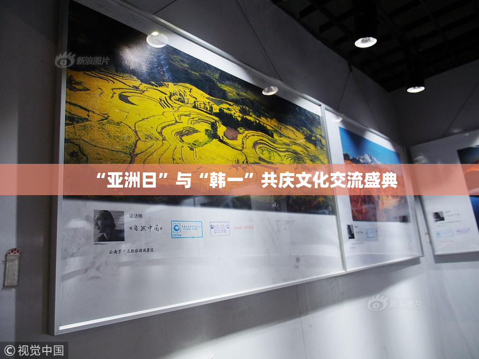 “亚洲日”与“韩一”共庆文化交流盛典
