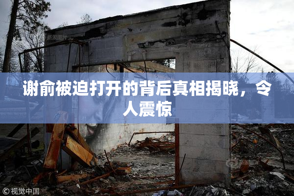 谢俞被迫打开的背后真相揭晓，令人震惊