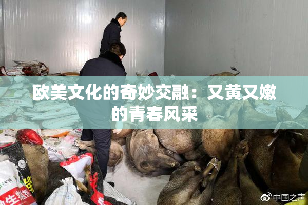 欧美文化的奇妙交融：又黄又嫩的青春风采