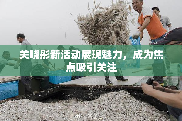 关晓彤新活动展现魅力，成为焦点吸引关注