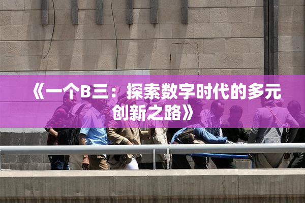 《一个B三：探索数字时代的多元创新之路》