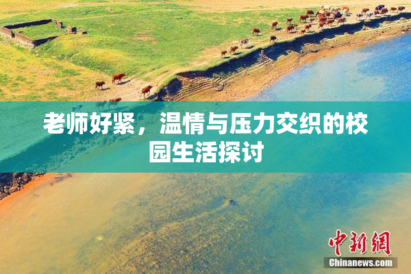 老师好紧，温情与压力交织的校园生活探讨
