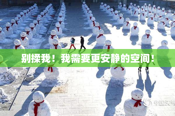 别揉我！我需要更安静的空间！