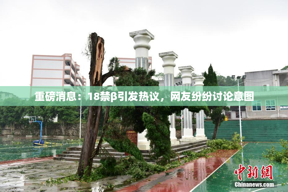 重磅消息：18禁β引发热议，网友纷纷讨论意图