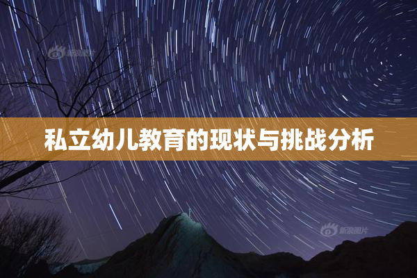 私立幼儿教育的现状与挑战分析