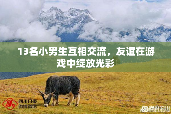 13名小男生互相交流，友谊在游戏中绽放光彩