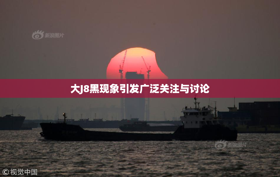 大J8黑现象引发广泛关注与讨论