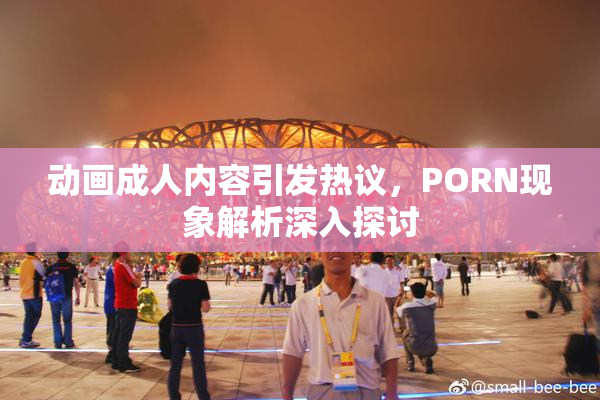 动画成人内容引发热议，PORN现象解析深入探讨