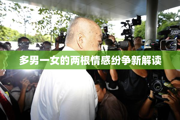 多男一女的两根情感纷争新解读