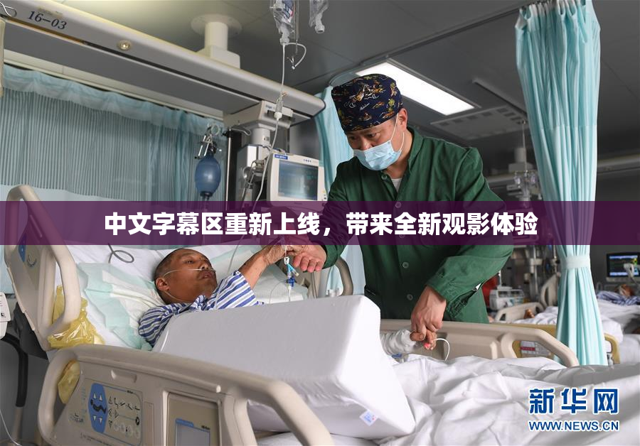 中文字幕区重新上线，带来全新观影体验