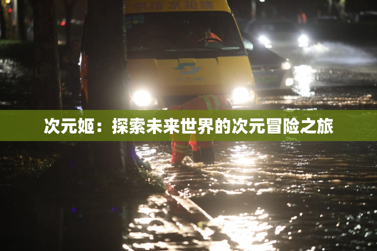 次元姬：探索未来世界的次元冒险之旅