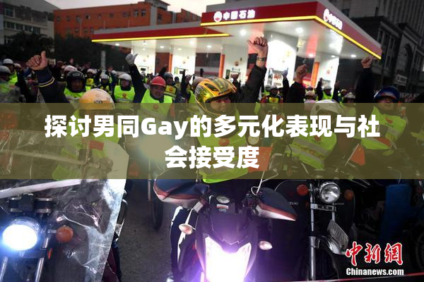 探讨男同Gay的多元化表现与社会接受度