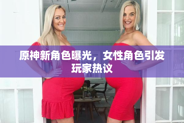 原神新角色曝光，女性角色引发玩家热议