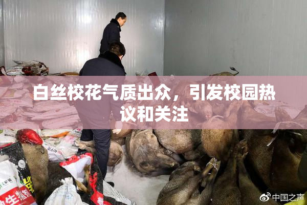 白丝校花气质出众，引发校园热议和关注