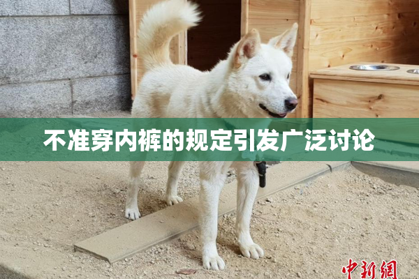 不准穿内裤的规定引发广泛讨论