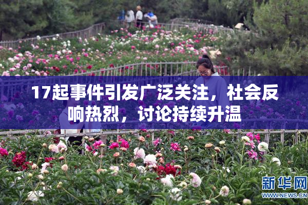 17起事件引发广泛关注，社会反响热烈，讨论持续升温