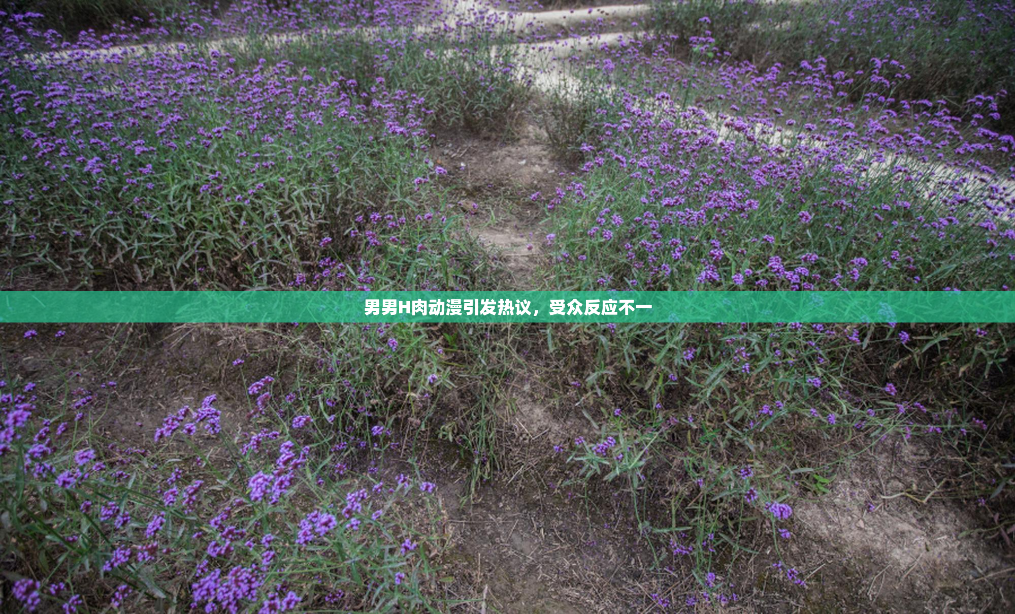 男男H肉动漫引发热议，受众反应不一