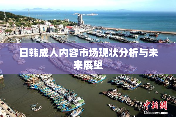 日韩成人内容市场现状分析与未来展望