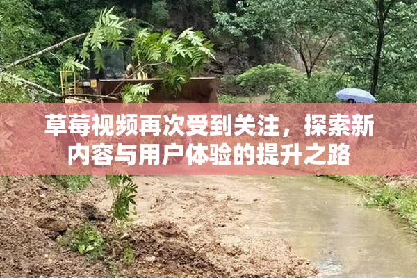 草莓视频再次受到关注，探索新内容与用户体验的提升之路