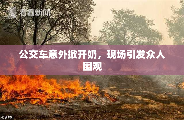 公交车意外掀开奶，现场引发众人围观