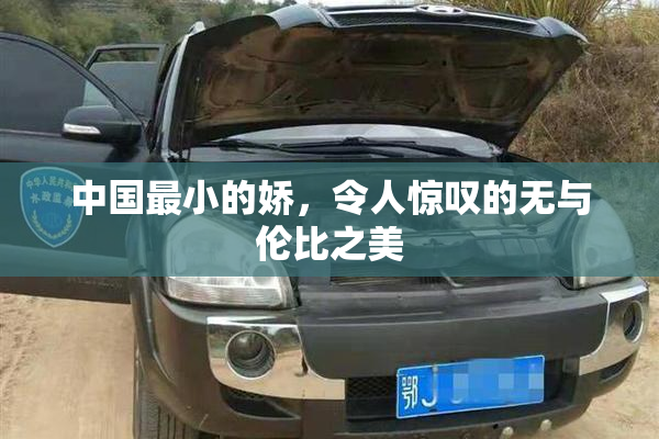 中国最小的娇，令人惊叹的无与伦比之美