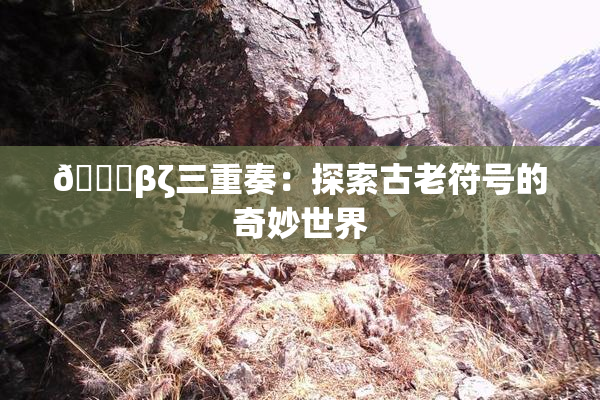 👙βζ三重奏：探索古老符号的奇妙世界