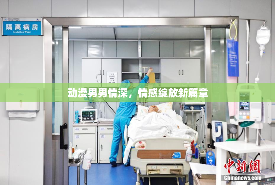 动漫男男情深，情感绽放新篇章