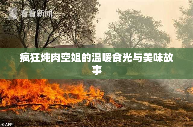 疯狂炖肉空姐的温暖食光与美味故事