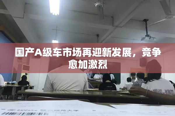 国产A级车市场再迎新发展，竞争愈加激烈