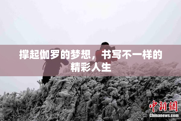 撑起伽罗的梦想，书写不一样的精彩人生