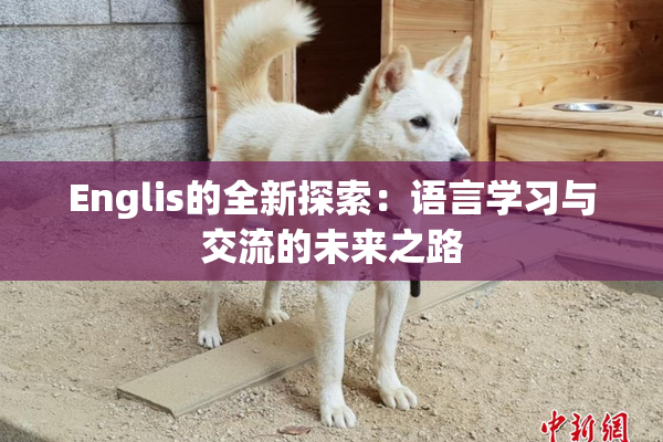 Englis的全新探索：语言学习与交流的未来之路