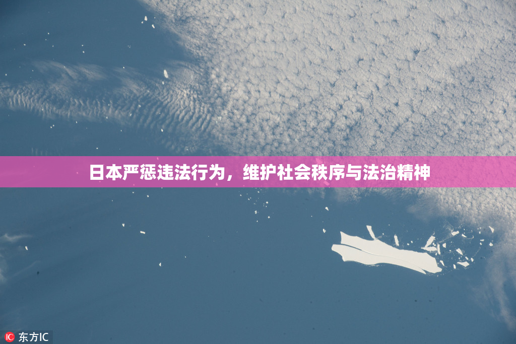 日本严惩违法行为，维护社会秩序与法治精神