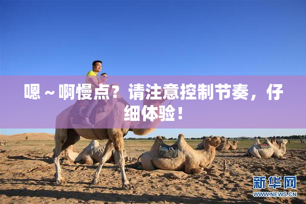 嗯～啊慢点？请注意控制节奏，仔细体验！