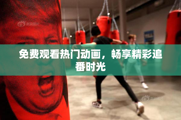 免费观看热门动画，畅享精彩追番时光