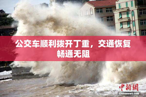 公交车顺利拨开丁重，交通恢复畅通无阻
