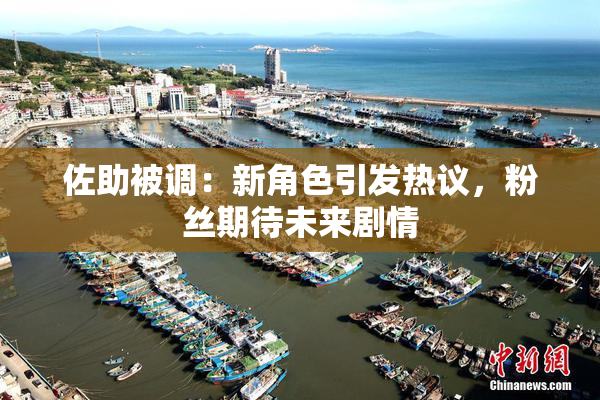 佐助被调：新角色引发热议，粉丝期待未来剧情