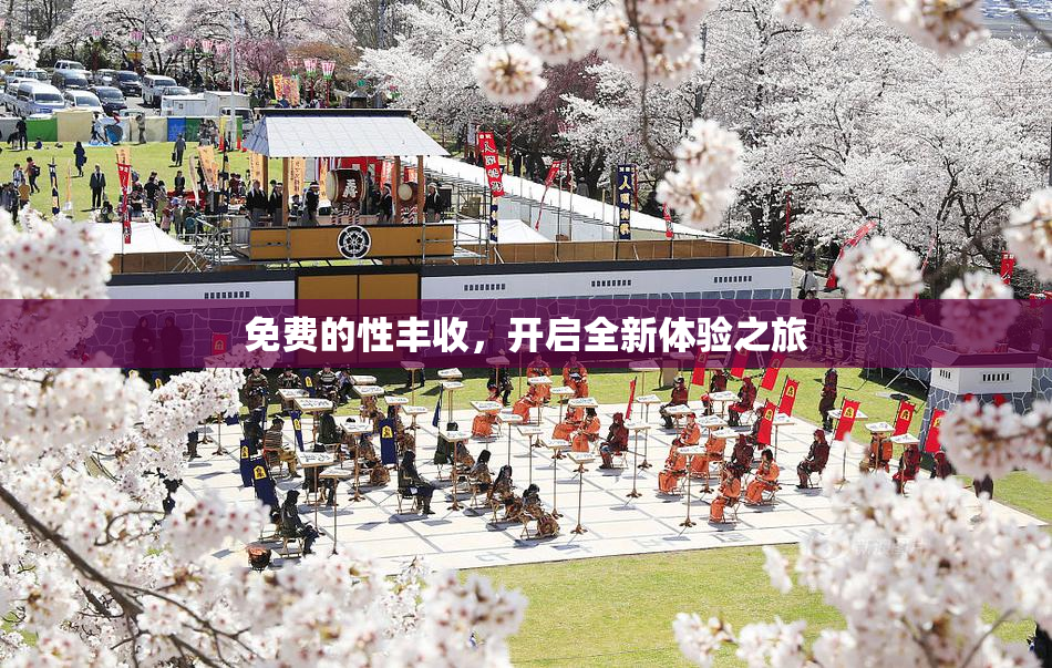 免费的性丰收，开启全新体验之旅