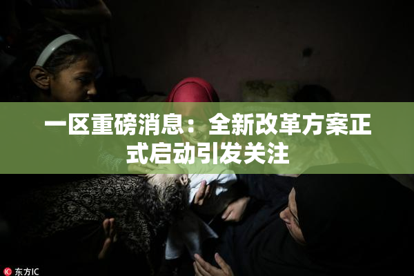 一区重磅消息：全新改革方案正式启动引发关注