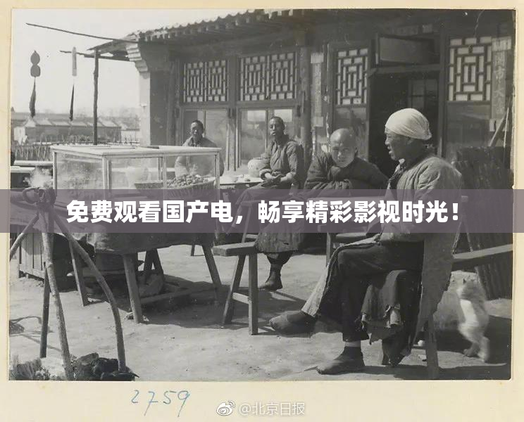 免费观看国产电，畅享精彩影视时光！